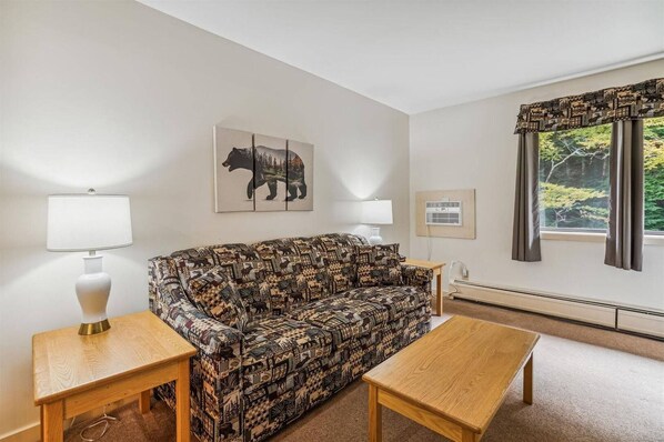 Unclassified image, 1 of 25, button - Efficiency with Sleeper Sofa only 120 (Killington)