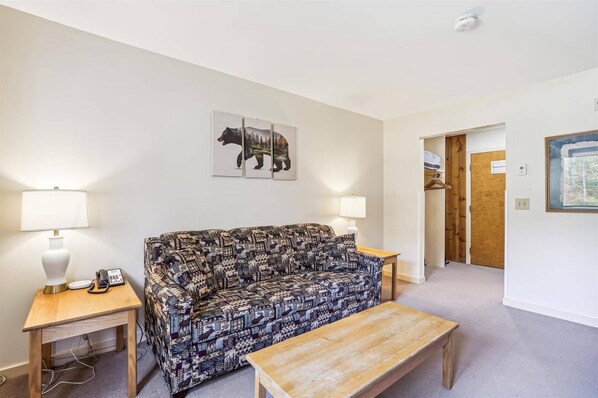 Unclassified image, 1 of 26, button - Efficiency with Sleeper Sofa only 121 (Killington)