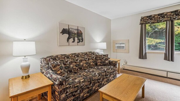 Living area - Efficiency with Sleeper Sofa only 221 (Killington)