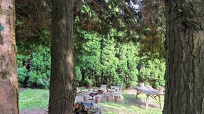 Un área boscosa con un brasero, bancos de madera y una mesa de picnic.