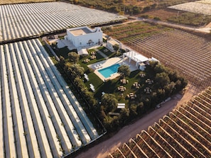 An aerial view of a vineyard with rows of grapevines, a white building with a pool, and outdoor seating. - Dimora Bellarosa - A Timeless Masseria with Infinity Pool (Puglia)