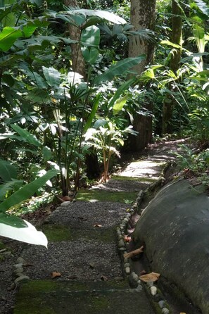 A pathway surrounded by lush greenery and a concrete structure. - Casa Cavu - Luxury Jungle Home & Pool in Dominical (Platanillo)