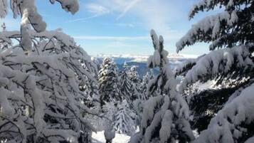 A snowy landscape with dense trees covered in snow.