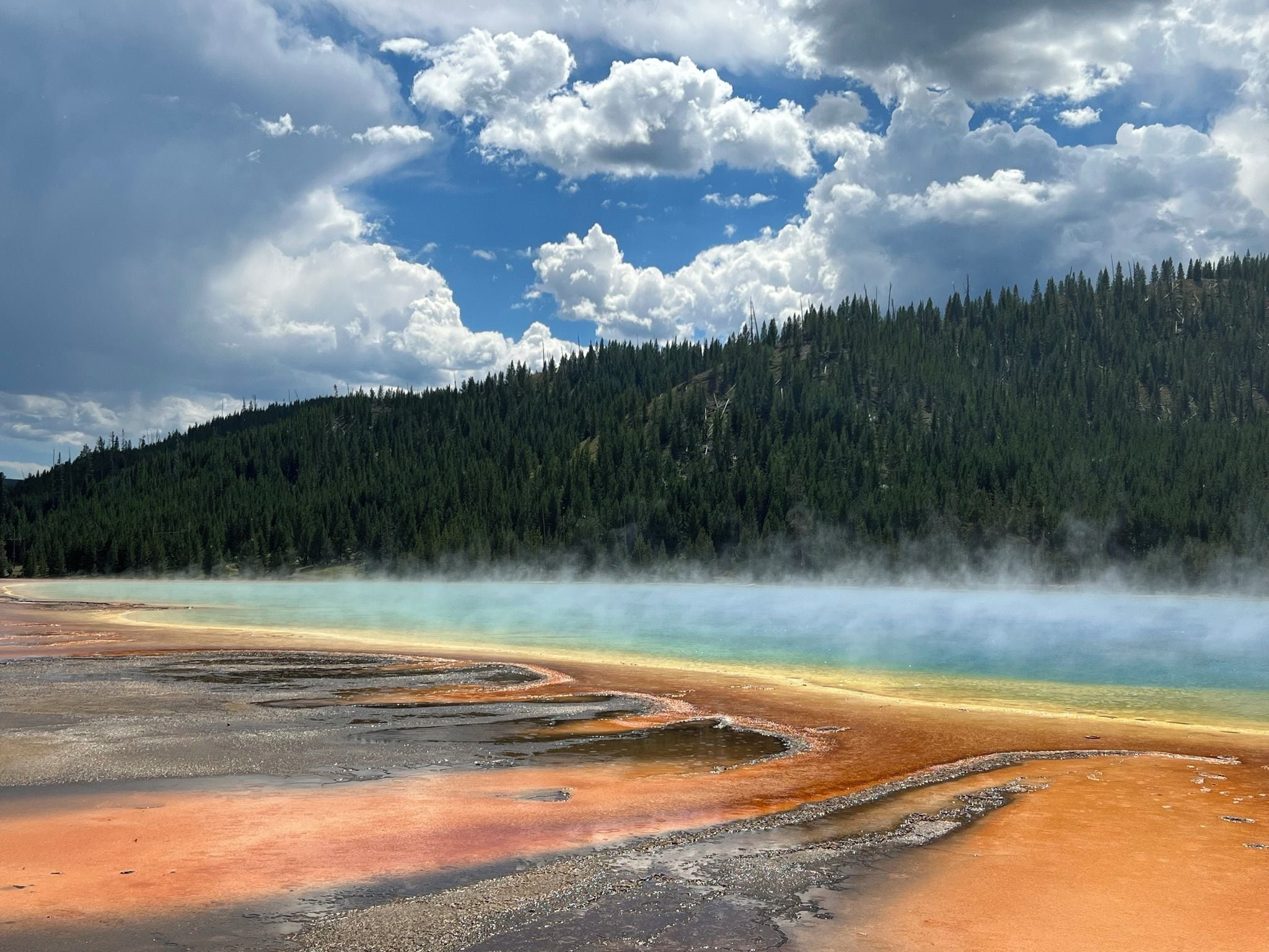 Ein geothermisches Gebiet mit Mineralablagerungen und einem bewaldeten Hügel im Hintergrund.