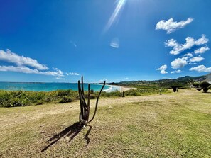 A grassy area with a cactus, a beach, and a clear sky. - BlueDream Studio - Panoramic View, Pool, and Beach (Saint Martin)