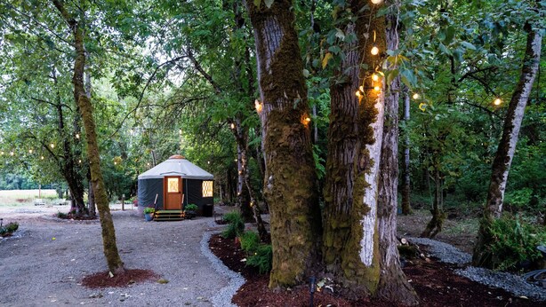 A rustic cabin with a thatched roof, surrounded by trees and a gravel path leading to it. - New Leaf Greenhouse (Cornelius)
