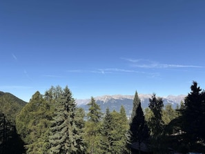 A mountainous landscape with dense forest in the foreground and a clear sky. - 40m from ski slopes, 2nd floor, balcony, 19m², Les Orres (Les Orres)