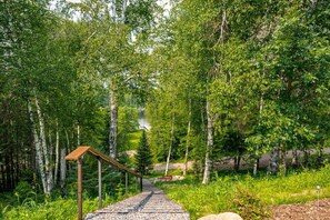 A pathway leading through a forest with birch trees and a lake in the distance.