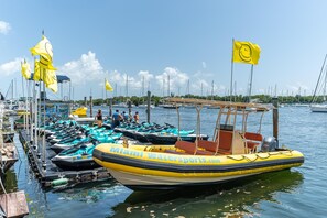 A marina with multiple boats docked, a yellow boat with 'Miami Watersports.com' on the side, and several yellow flags. - Connected Hotel Arya Studios 2 Beds, 2 Baths, Kitchen + Free 2-car Parking (Miami)