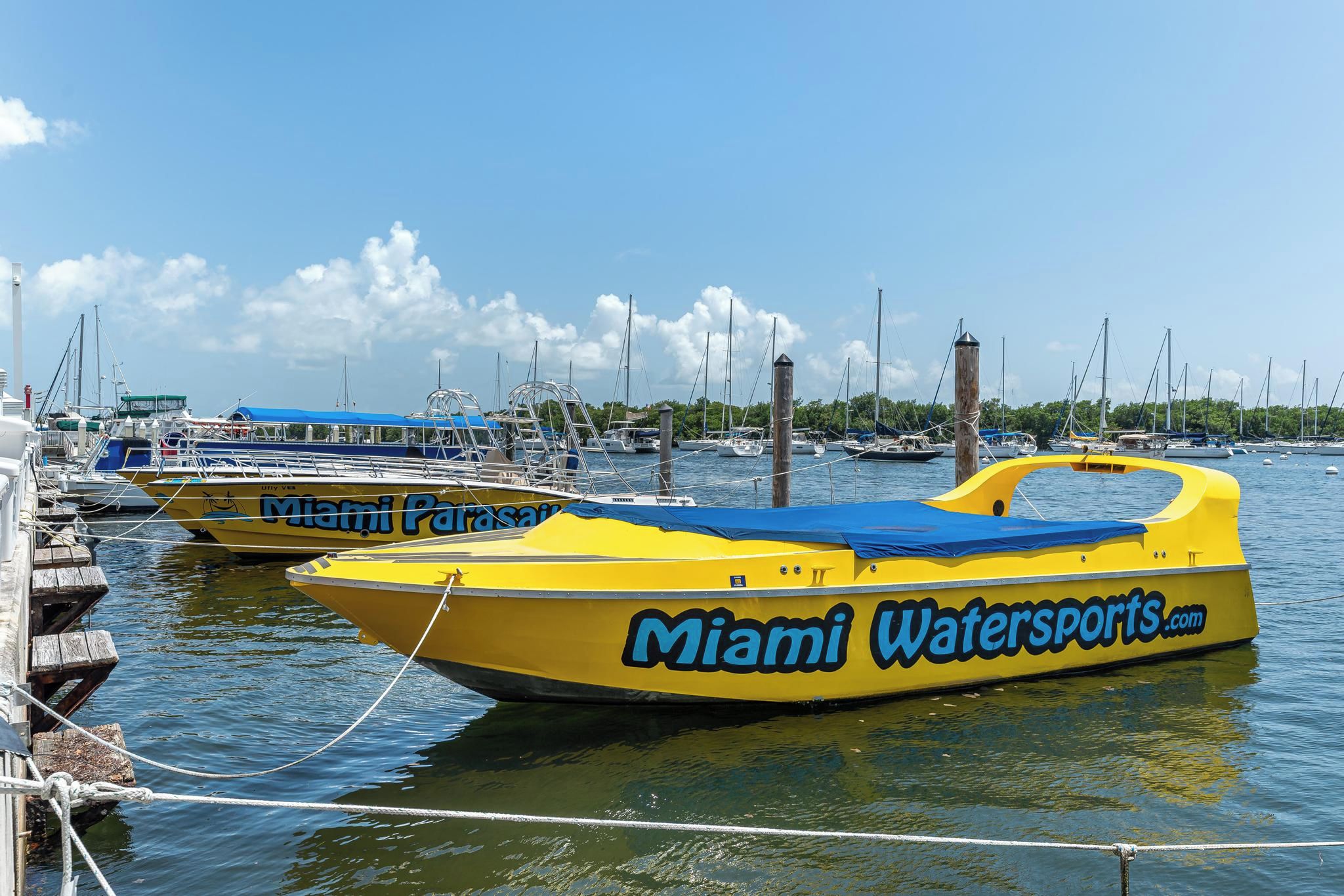 Un port de plaisance où sont amarrés plusieurs bateaux jaunes, dont l’un porte l’inscription « Miami Watersports.com ».