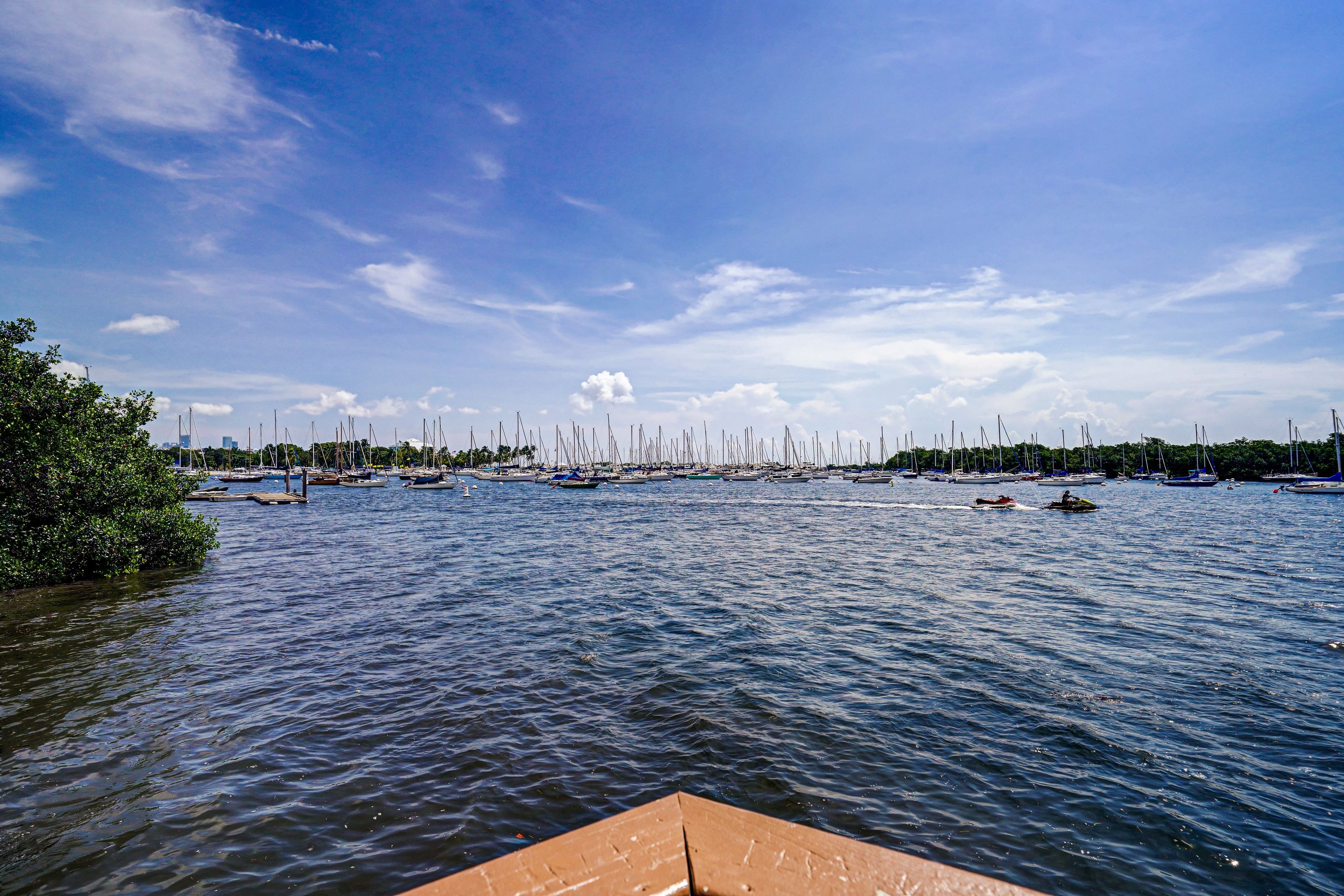 A marina with numerous sailboats docked.