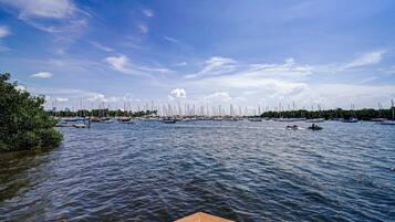 A marina with numerous sailboats docked.