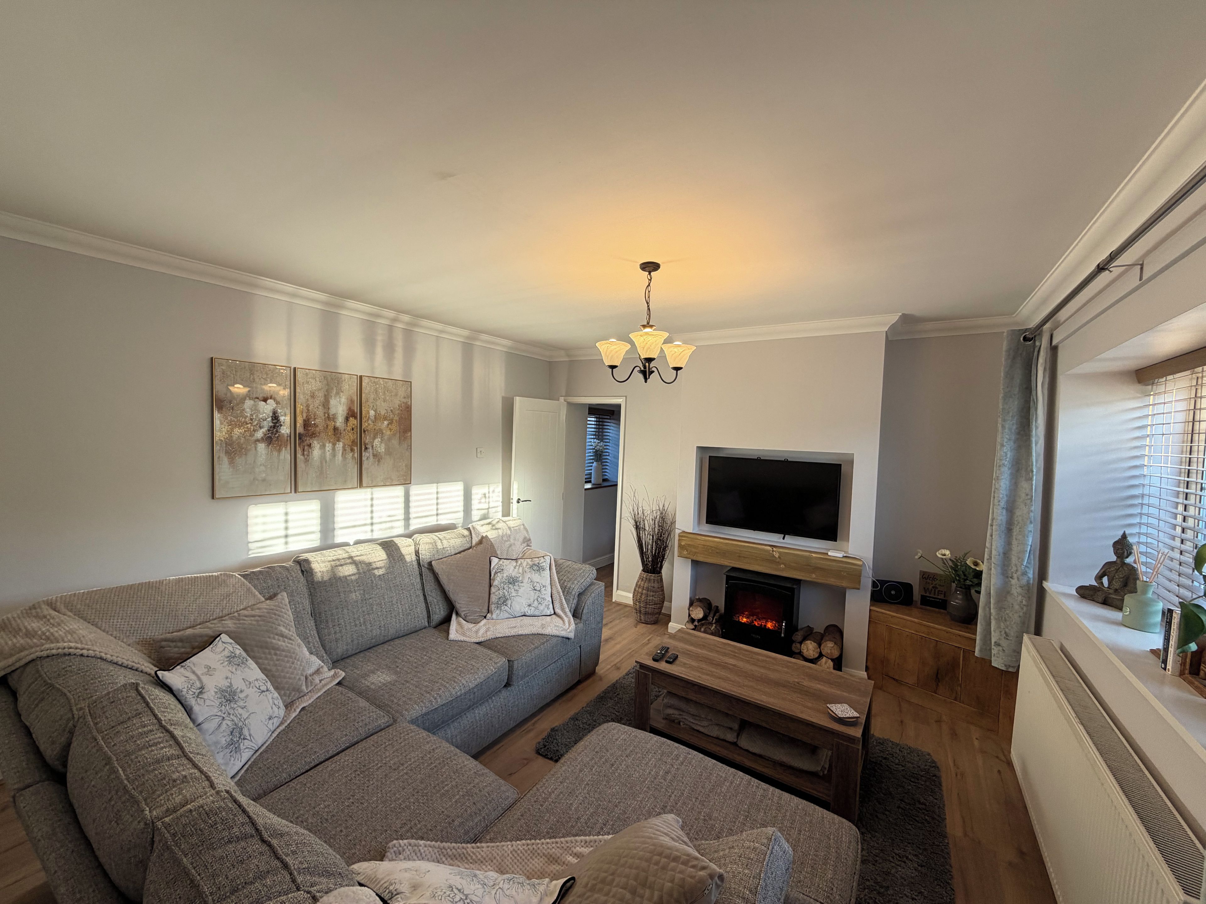 Smart TV, fireplace, books