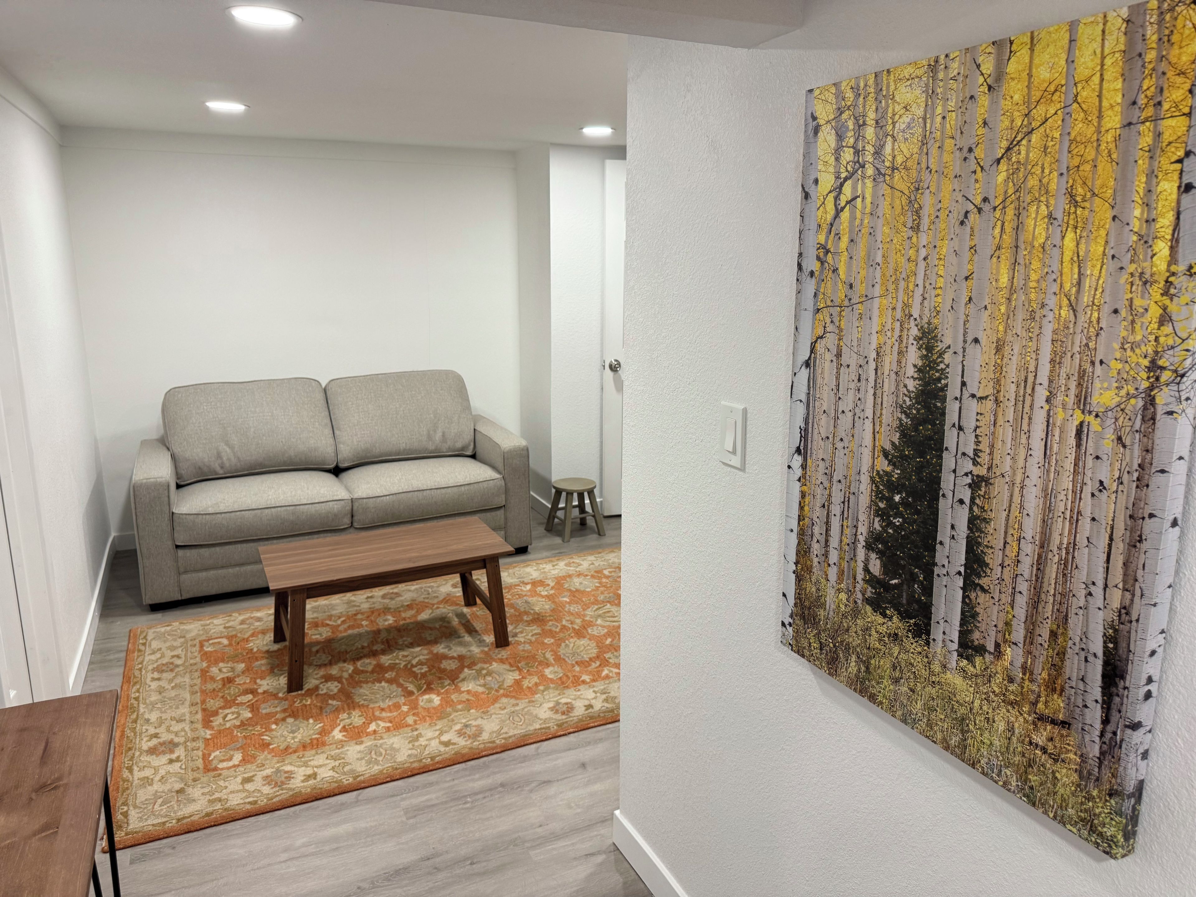 Uma sala de estar com sofá, mesa de centro e tapete.