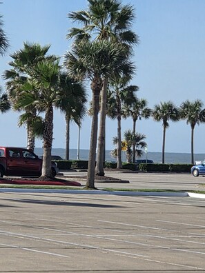 A parking lot with palm trees and a clear sky. - Pleasure Pier View 2BR · Steps to Seawall (Galveston)