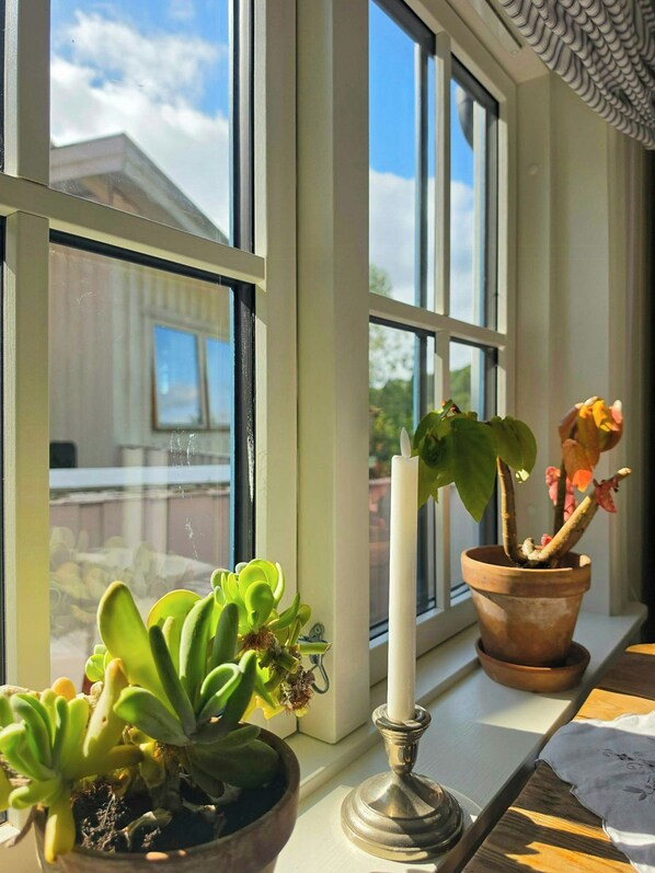 A window sill with potted plants and a candle.