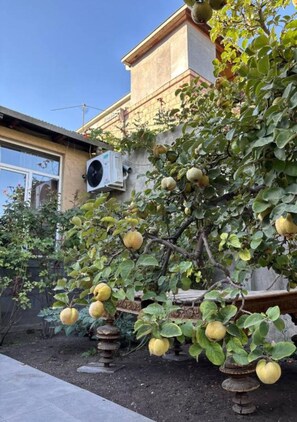 Un edificio residencial con un árbol frutal que da frutos amarillos, una antena parabólica y una estructura de piedra.