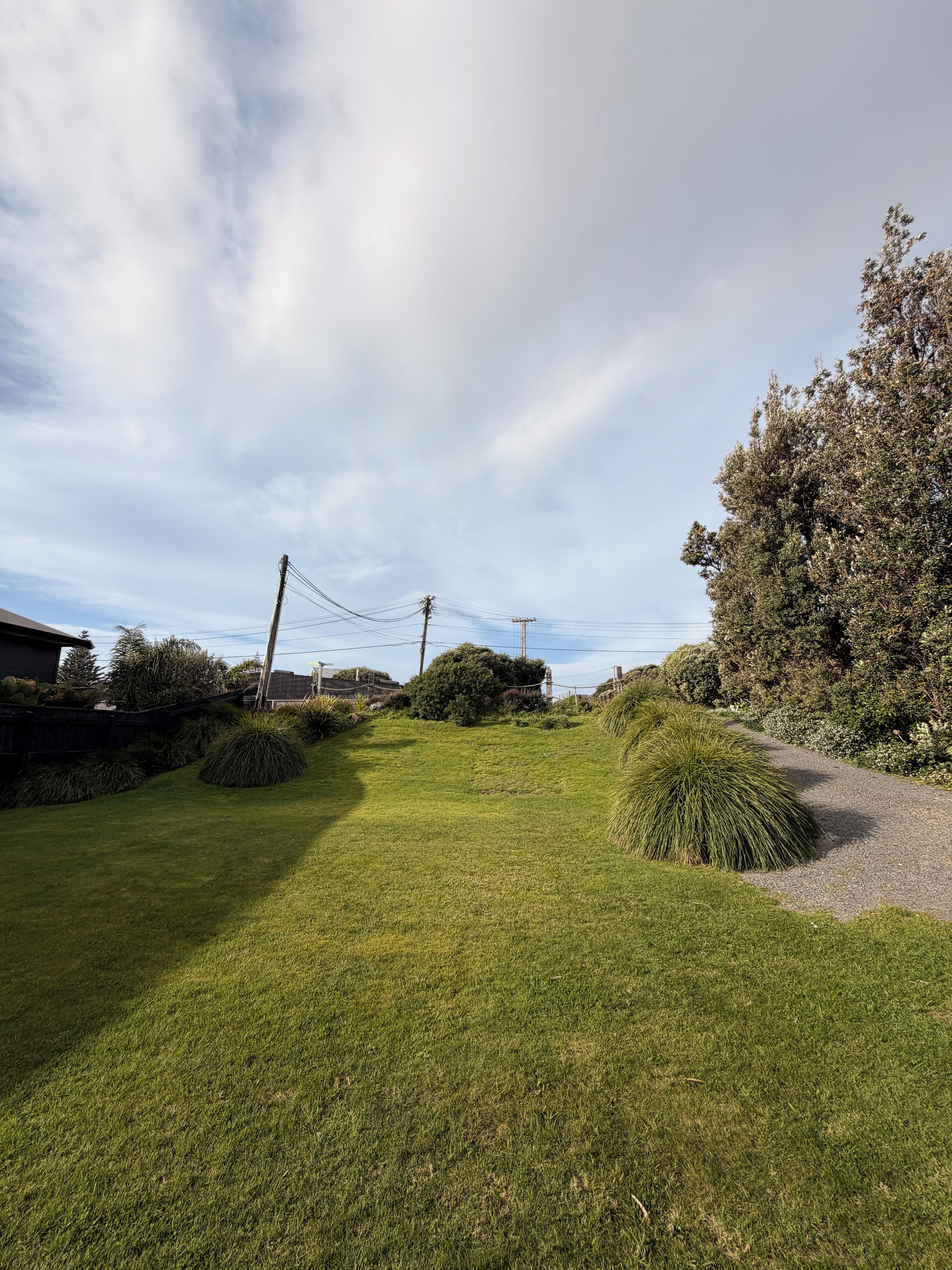 A grassy outdoor area with a gravel path, surrounded by bushes and trees.
