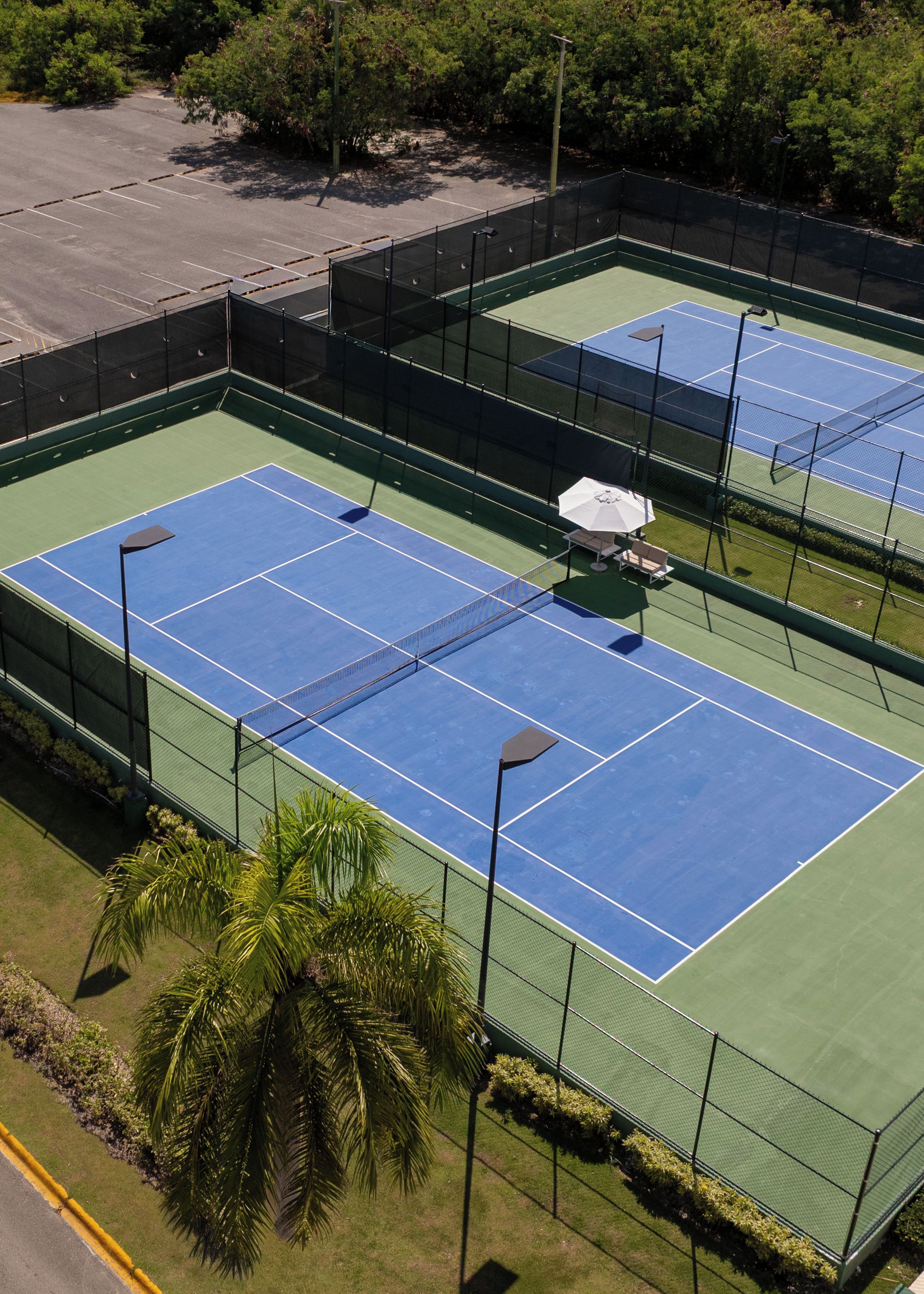 A tennis court with a net, surrounded by a fence, and palm trees nearby.
