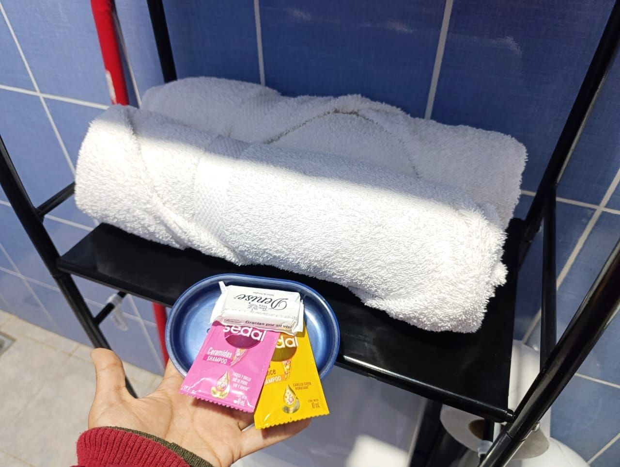A towel on a rack, a bowl, and two shampoo packets.