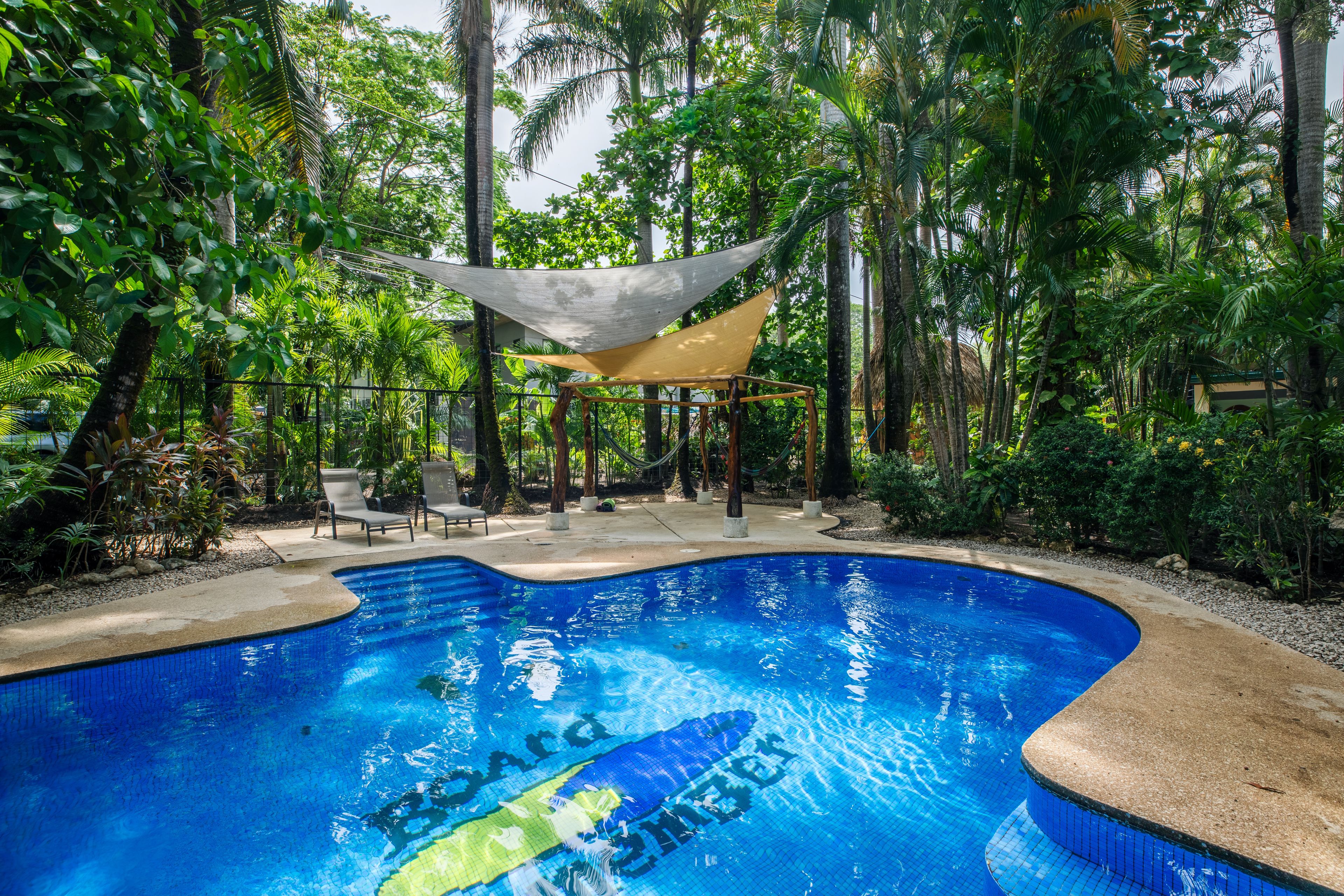Una piscina rodeada de exuberante vegetación y un área de descanso con sombra y sillones reclinables.
