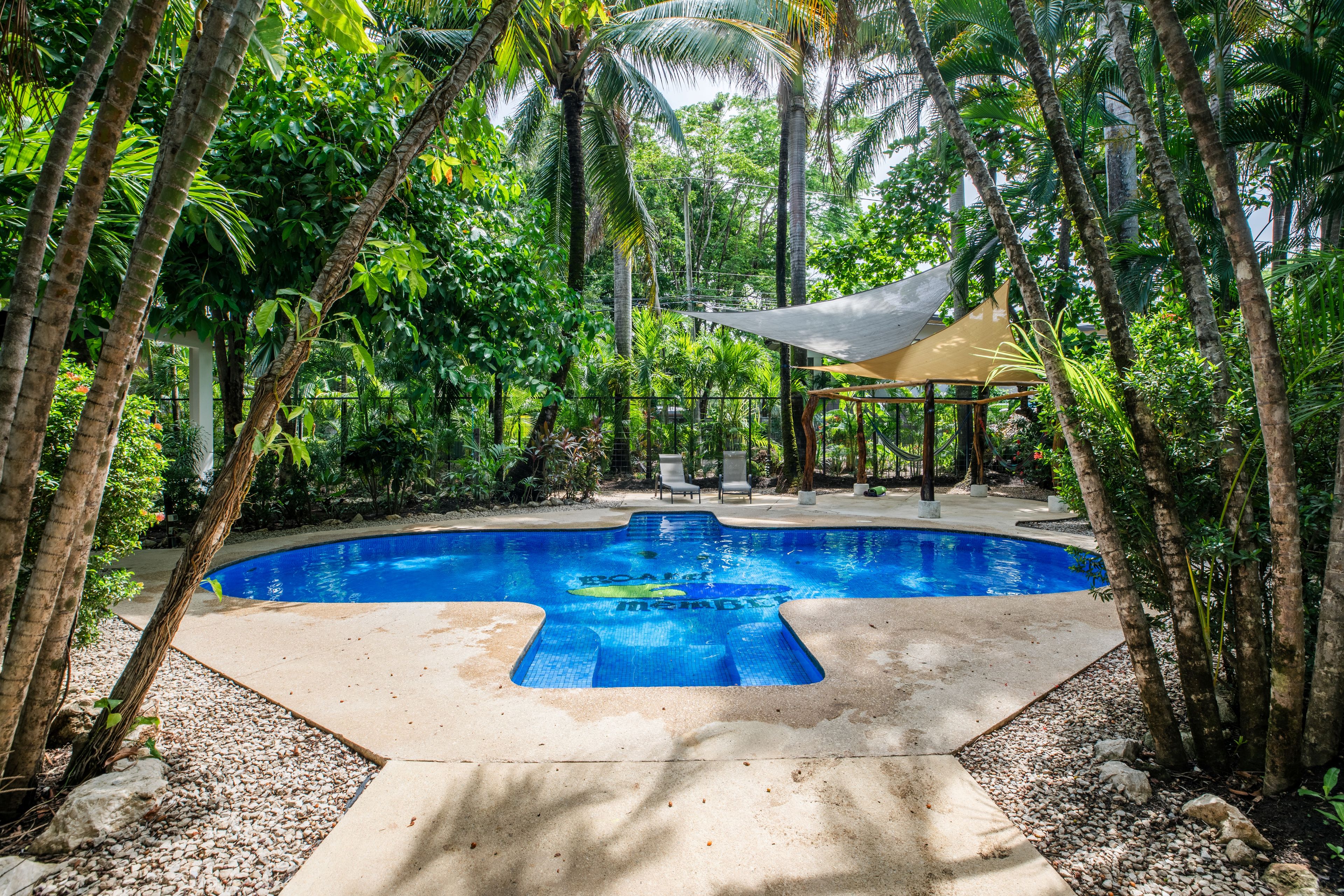 Una piscina envoltada per vegetació tropical i una zona d'estar amb ombra.