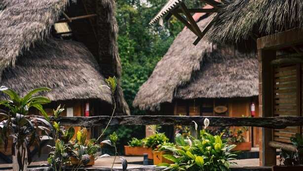 Cabañas con techo de paja, barandillas de madera y plantas en macetas al frente.