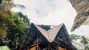 Een meerlaagse houten constructie met rieten dak, omringd door weelderige begroeiing.