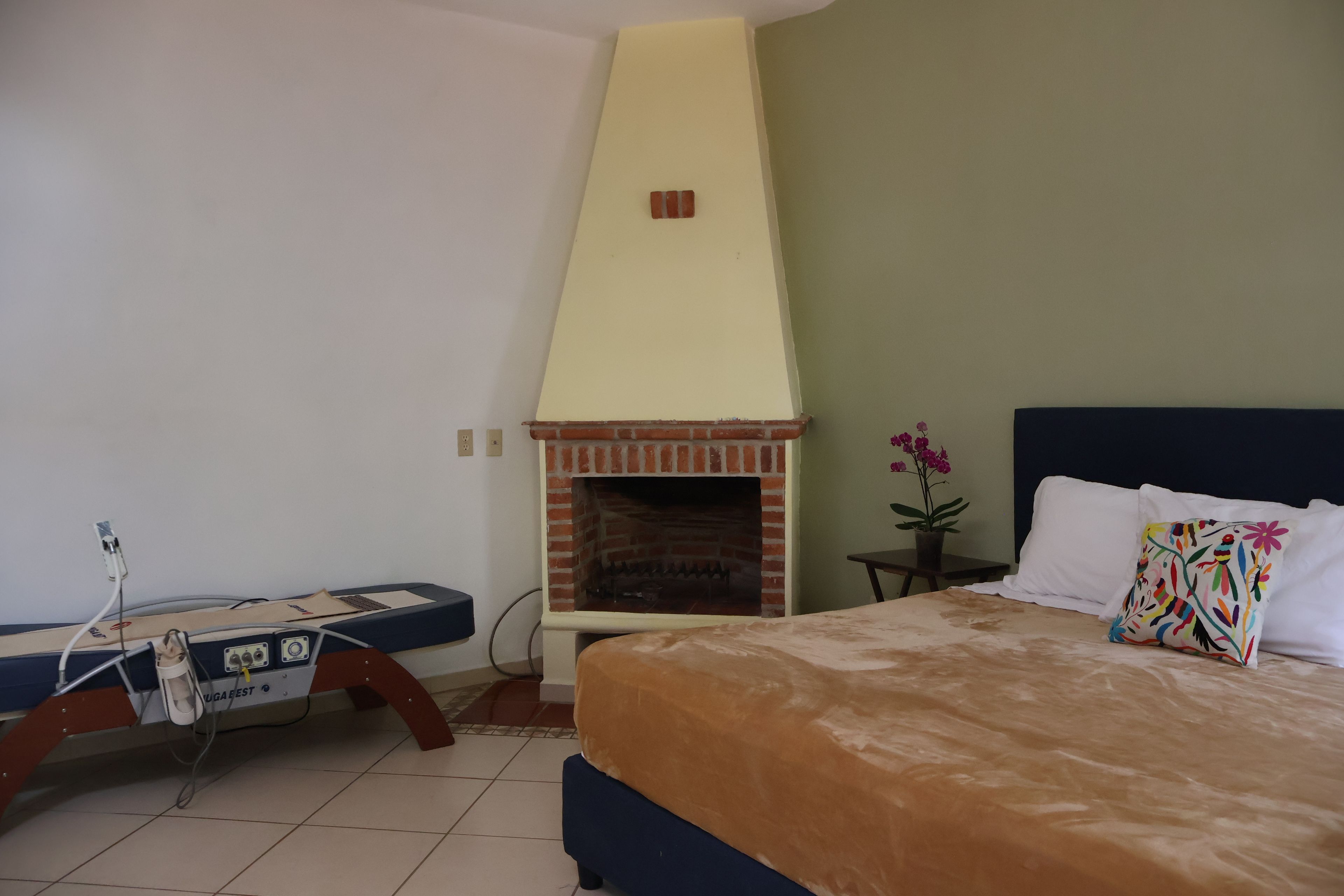 Quarto com cama, mesa de cabeceira, uma pequena mesa com planta em vaso e lareira de tijolos.