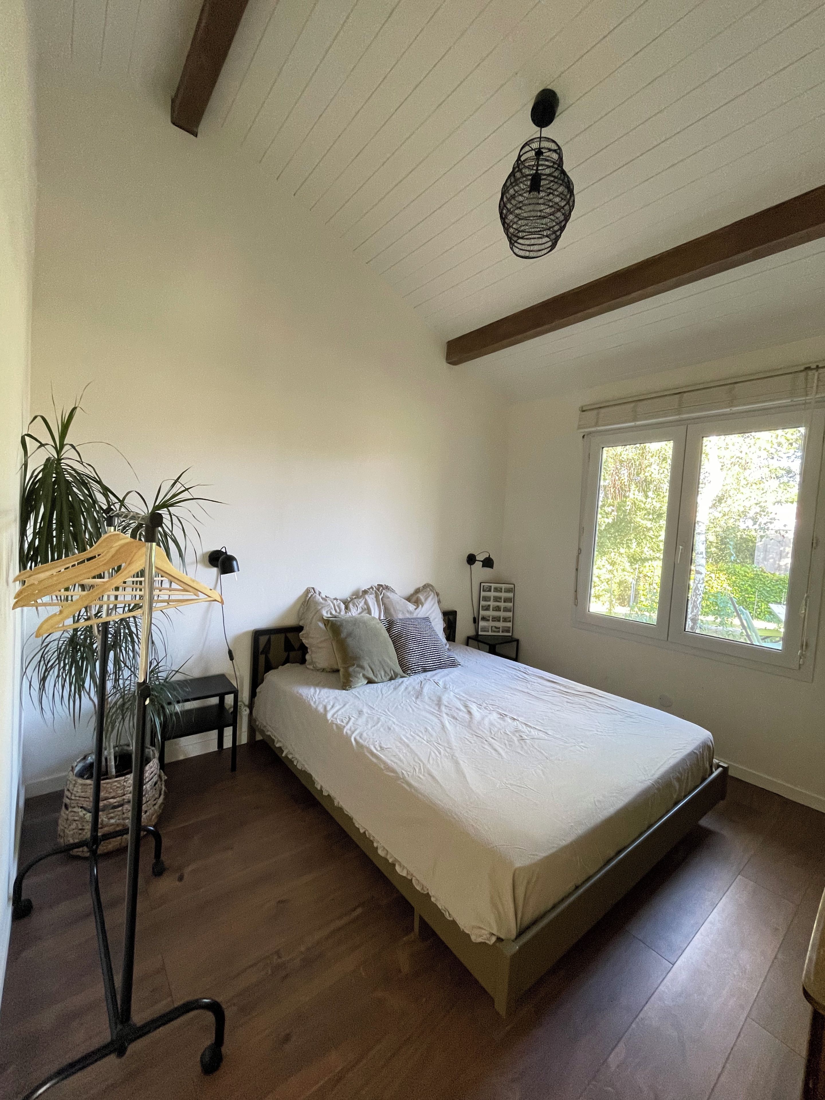 A bedroom with a bed, a hanging plant, a bedside table, a lamp, and a window.
