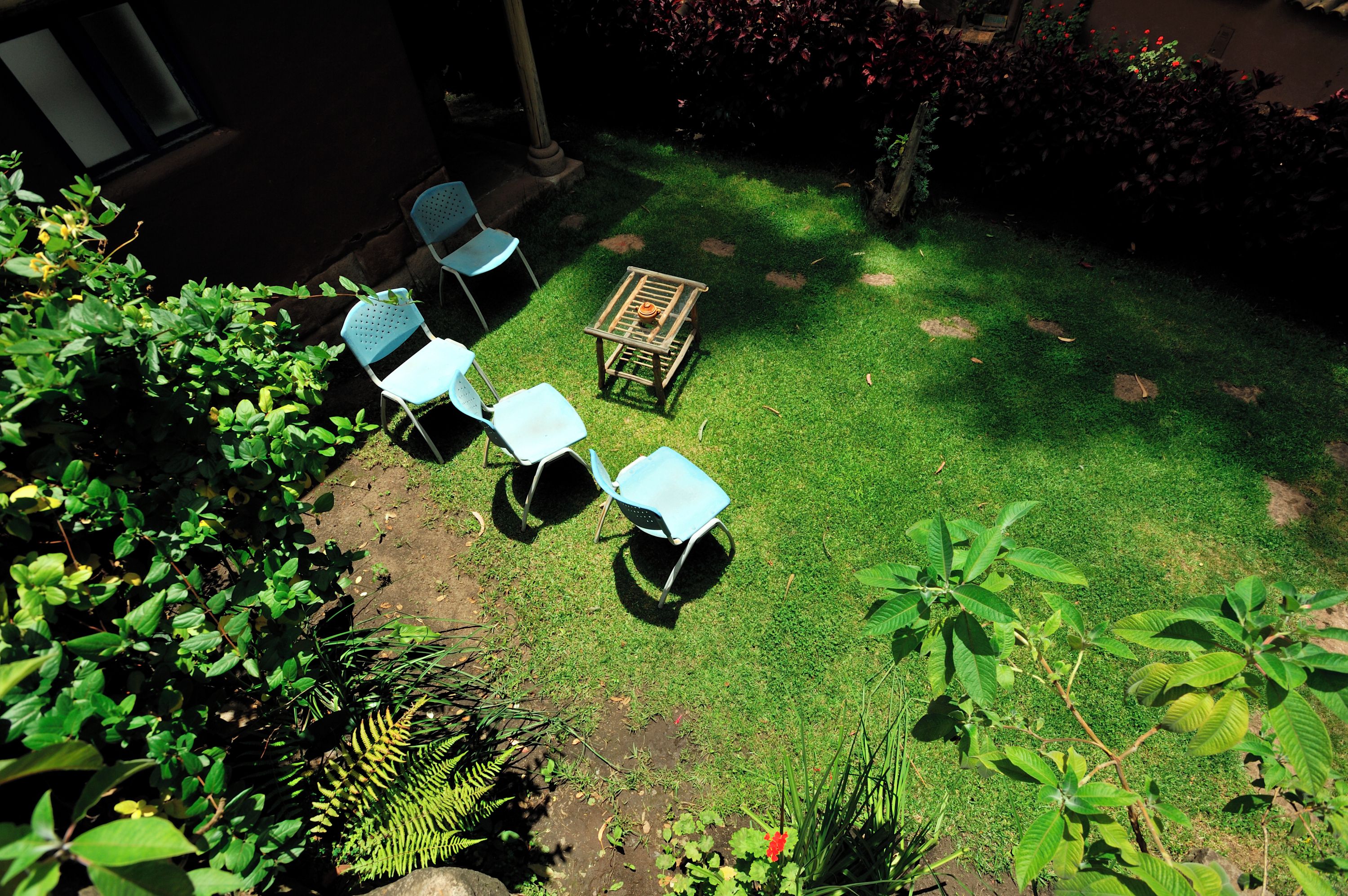 Un jardí amb una taula i quatre caires, envoltat de vegetació.