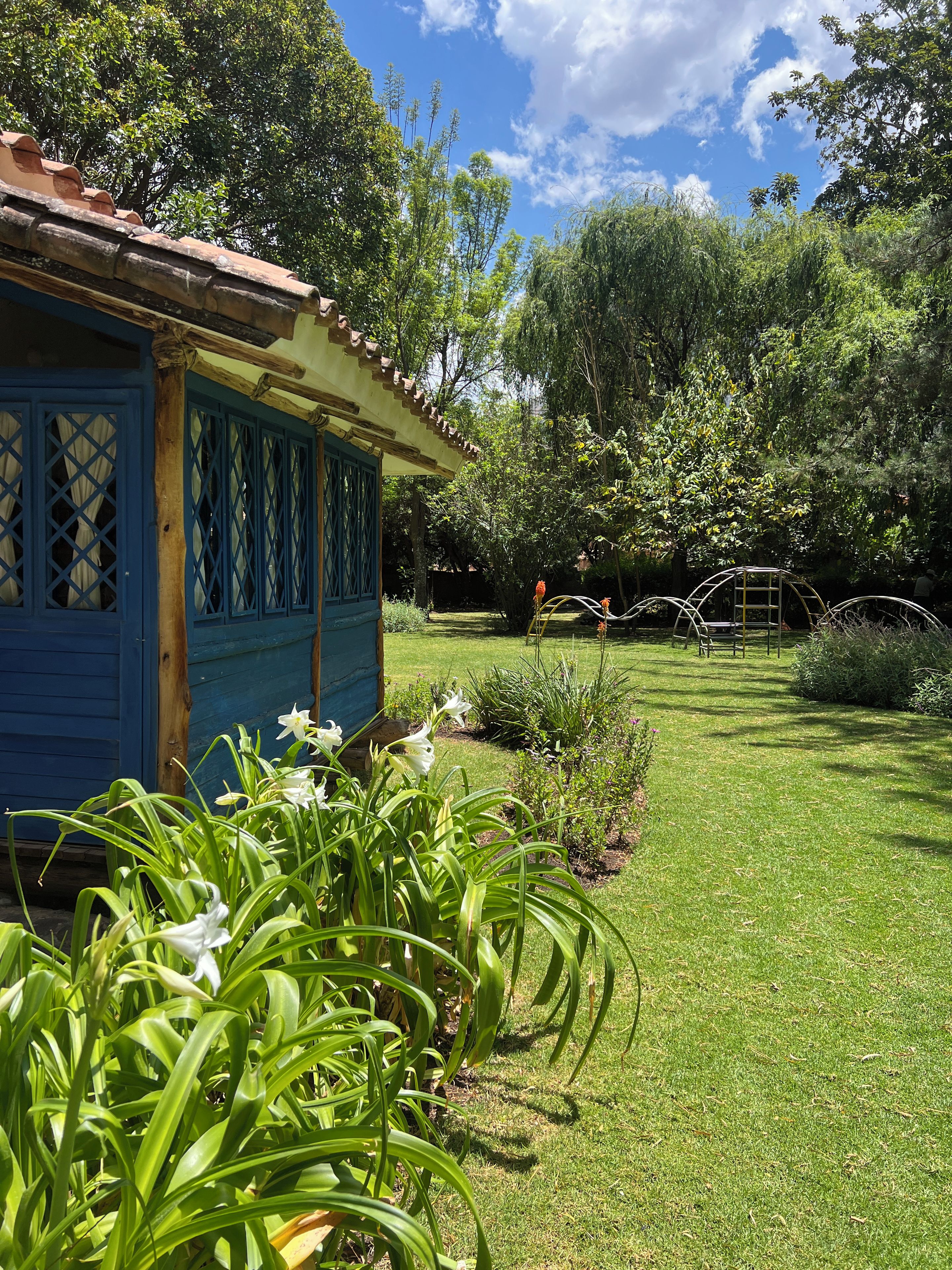 Ein blaues Gebäude mit einem Garten davor, inklusive Rasen und verschiedenen Pflanzen.