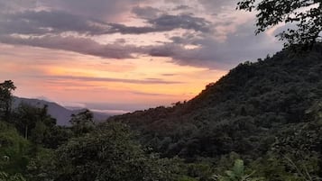 Paisagem natural com terreno acidentado e vegetação densa.