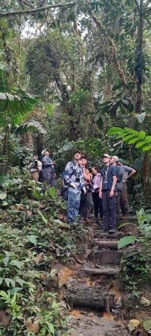 Un grupo de personas de pie sobre un puente de madera rodeado de un bosque denso.