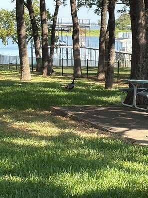 A park with a picnic table, a wooden deck, and a body of water in the background. - Lovely spacious Lake house on Eagle Mountain Lake in charming Fort Worth (Fort Worth)