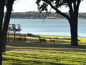 A grassy area with a body of water and a dock in the background. - Lovely spacious Lake house on Eagle Mountain Lake in charming Fort Worth (Fort Worth)