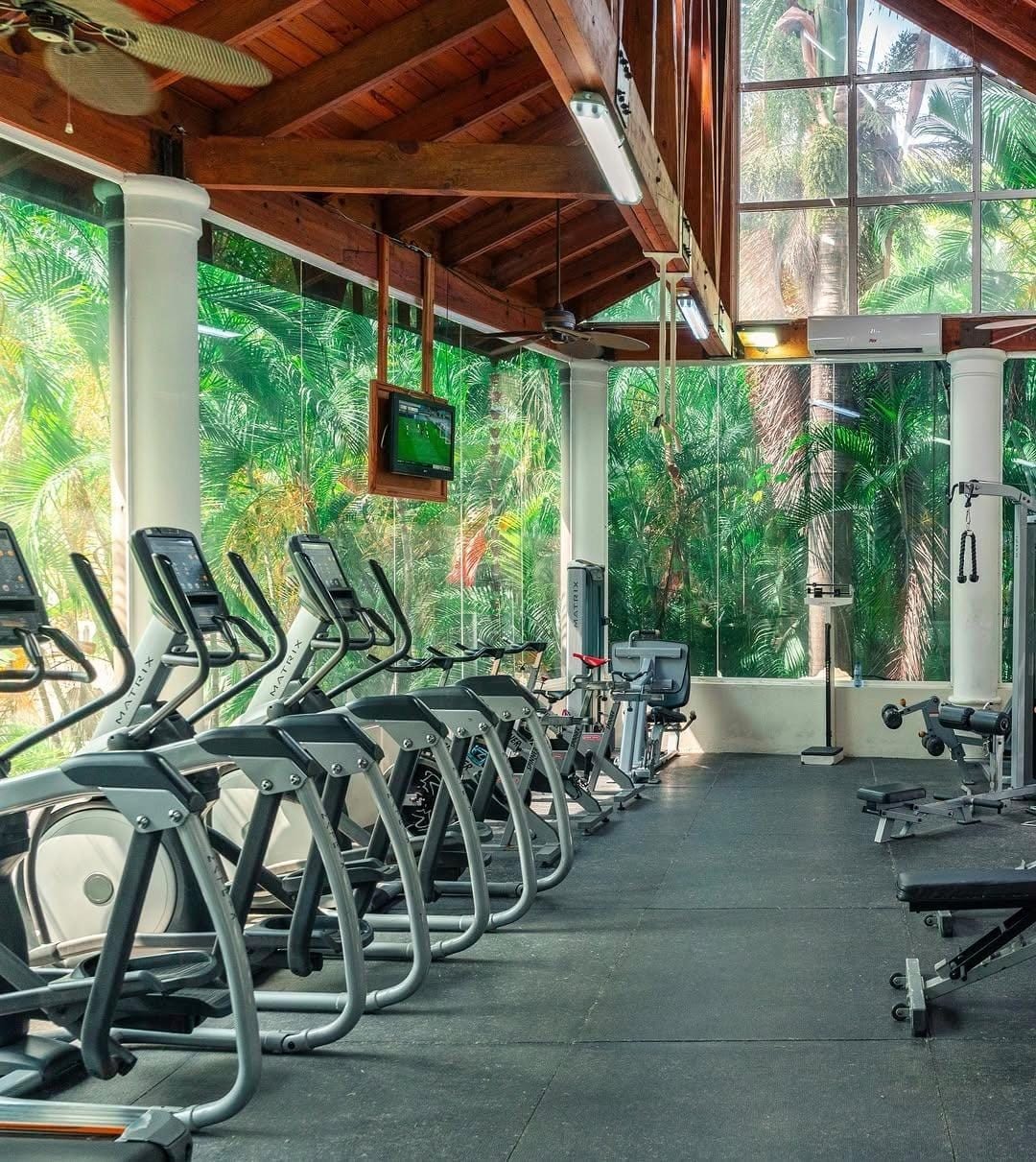A gym with treadmills lined up against a wall with large windows overlooking a tropical garden.