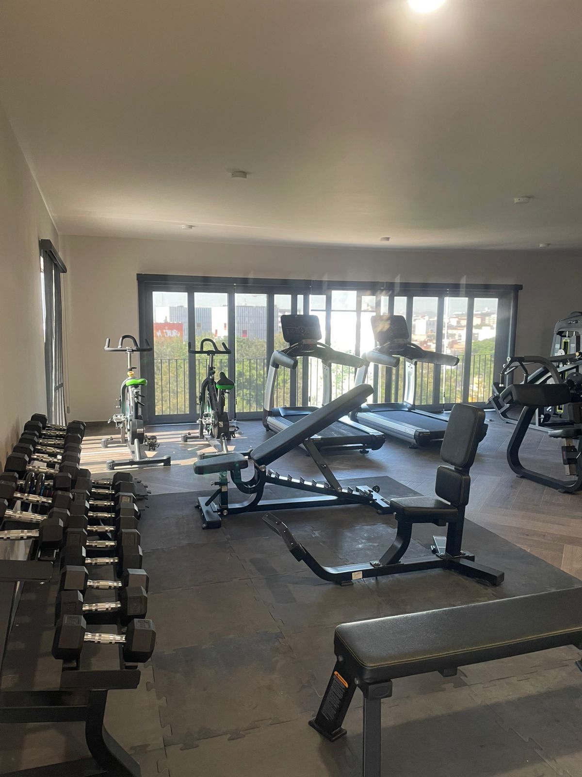 A gym with exercise equipment, a bench, and a treadmill.