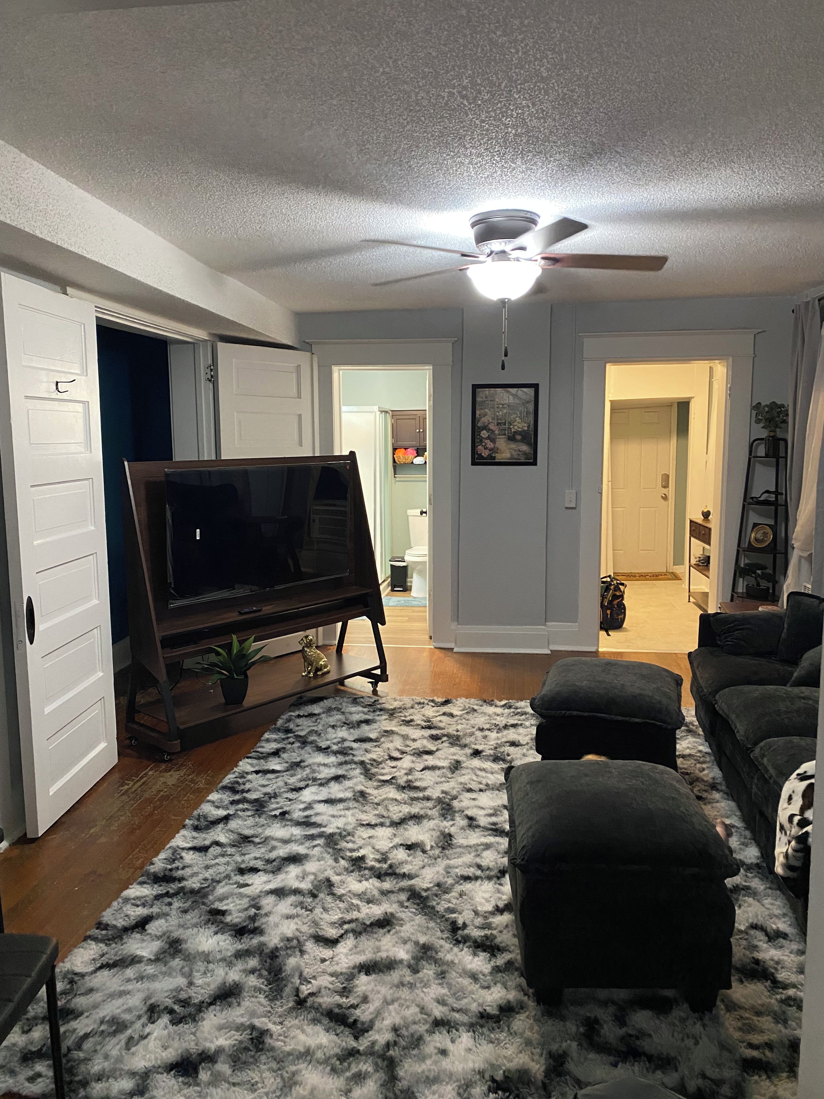 A living room with a television on a stand, a ceiling fan, and a fluffy rug.