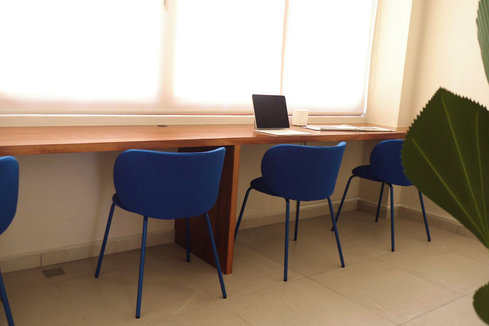 Un espace de travail avec un bureau en bois, quatre chaises bleues, un ordinateur portable et une plante en pot.