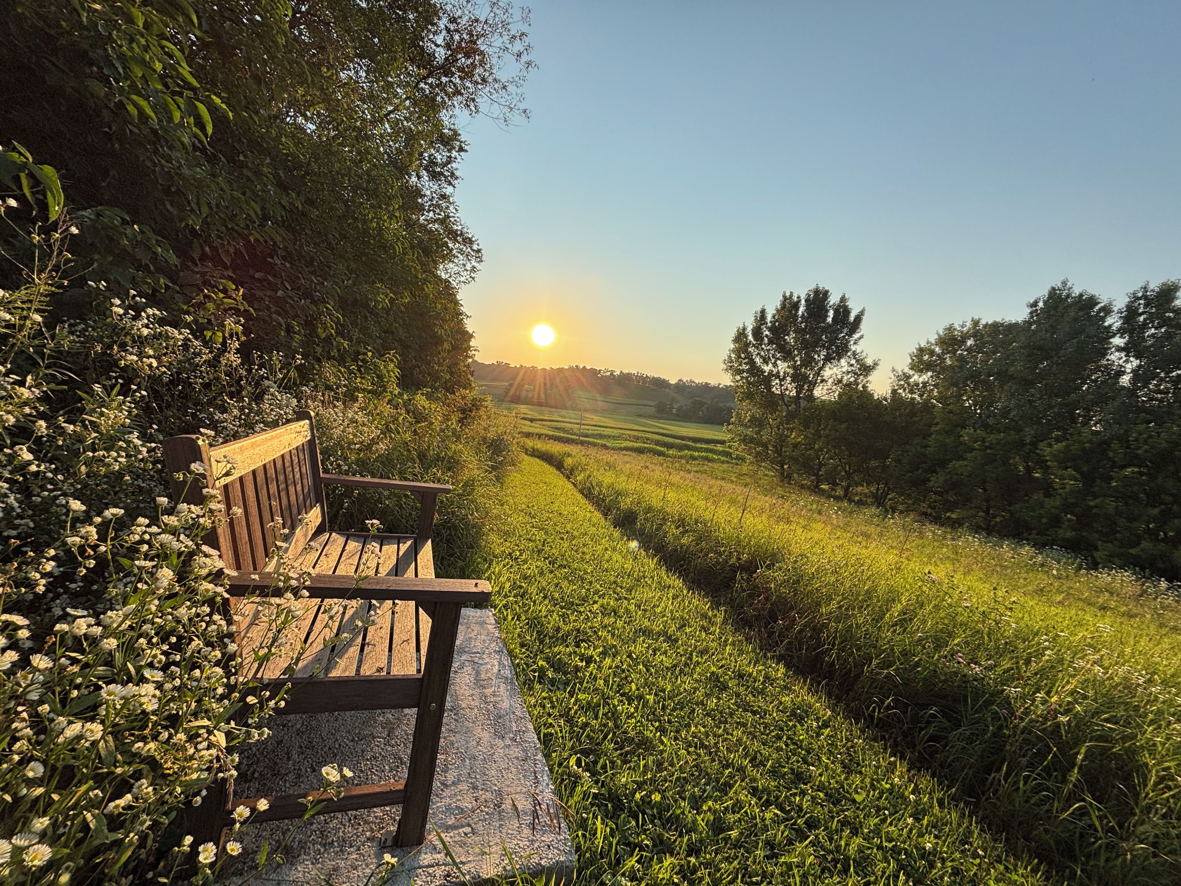 Un banc dans un jardin, avec vue sur un champ et des arbres.