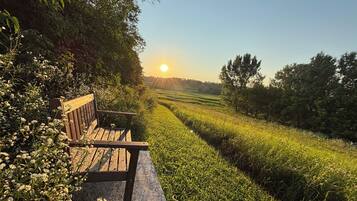 Un banc dans un jardin, avec vue sur un champ et des arbres.