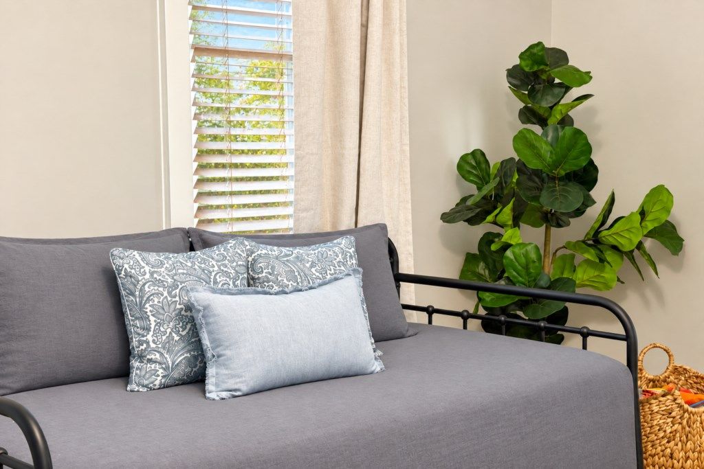 A grey sofa with patterned pillows, a potted plant, and a woven basket.