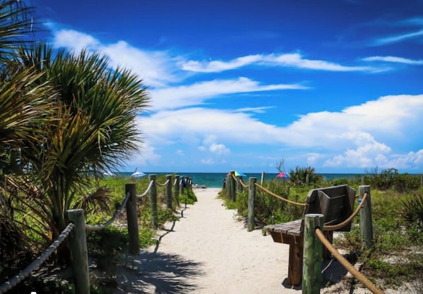 Un sentier sablonneux menant à une plage, avec un ciel dégagé et des palmiers.