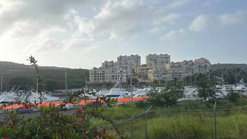 A residential area with multi-story buildings, a marina with boats, and a grassy foreground with flowering plants.