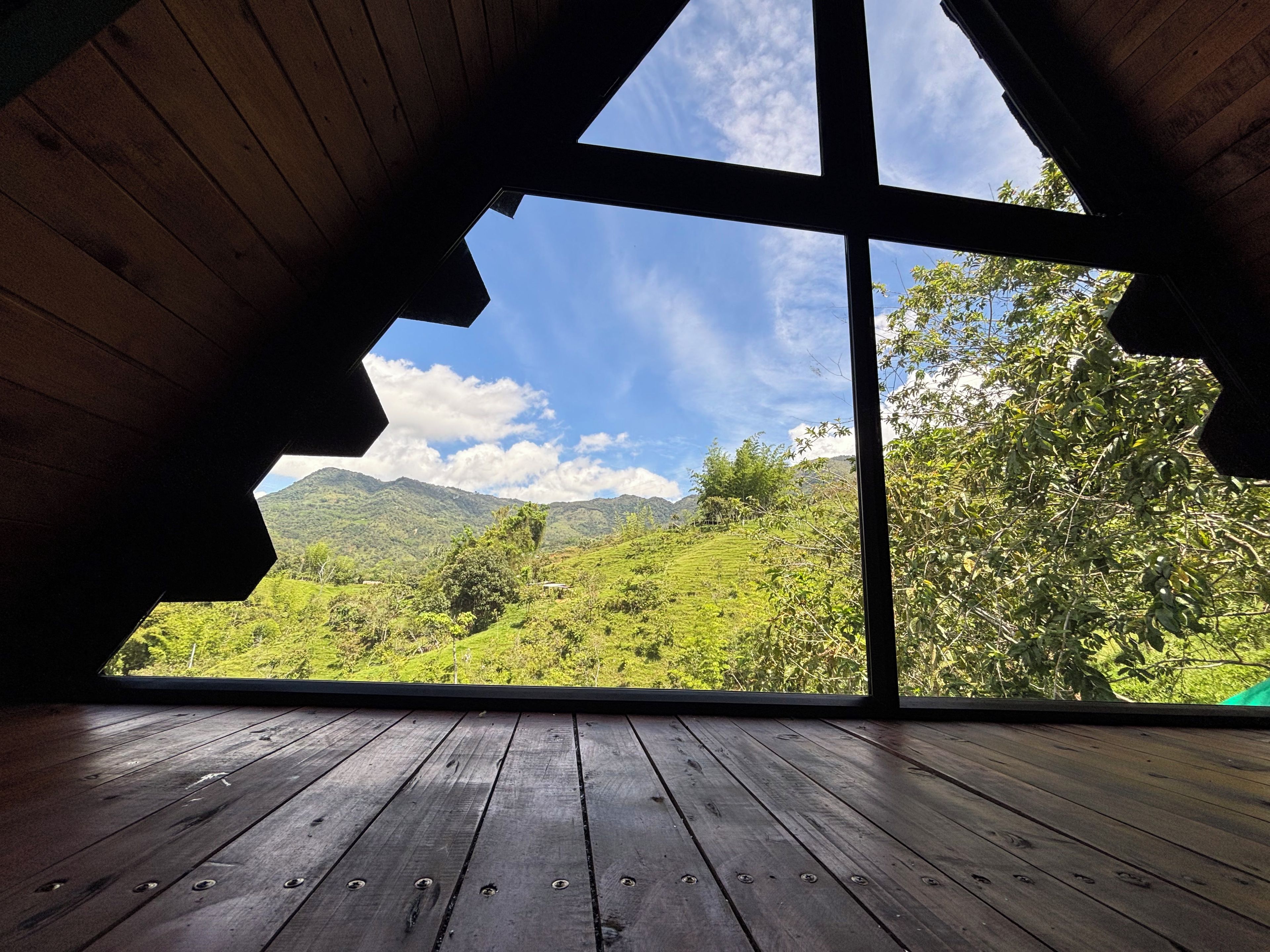 Habitación con piso de madera y un gran ventanal con vistas a un paisaje verde con colinas y árboles.