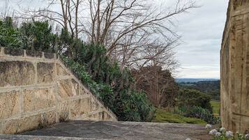 Un escalier en pierre descendant une colline, offrant une vue sur les arbres et un paysage lointain.