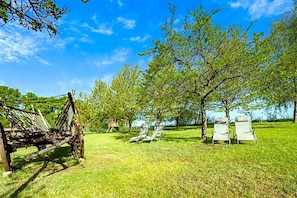 Ein Rasenbereich im Freien mit einer Holzschaukel und zwei Liegestühlen.