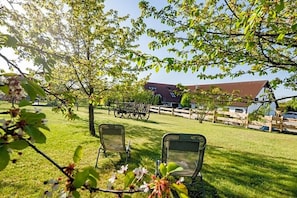Ein grünes Areal im Freien mit Metallstühlen, einem Holzzaun und einem Gebäude mit rotem Dach.