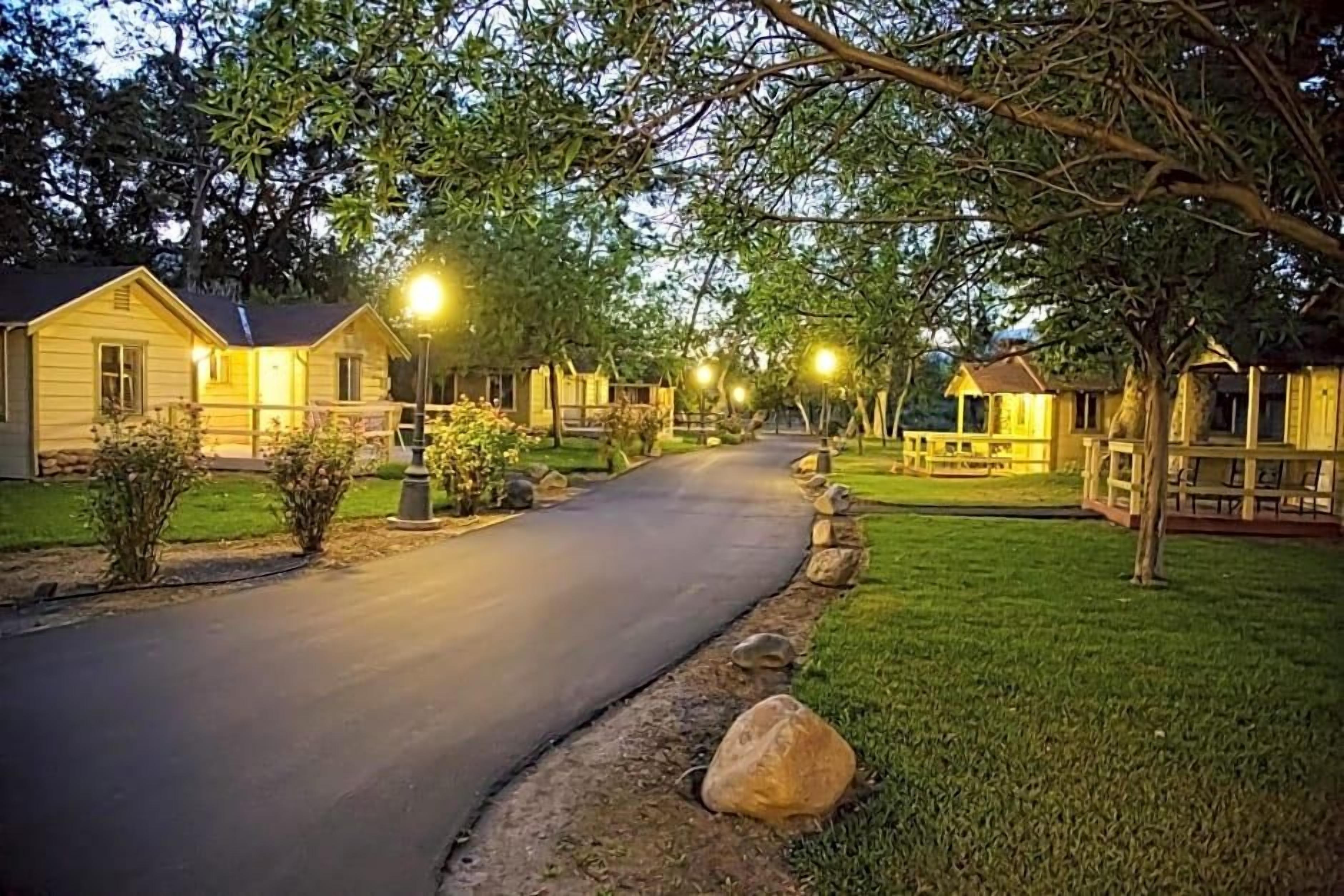 A residential street lined with houses, a paved road, and street lamps.